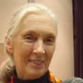 Portrait von lächelnder Jane Goodall