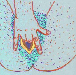 Zeichnung einer Frau, die zwei Finger in ihre Vagina einführt