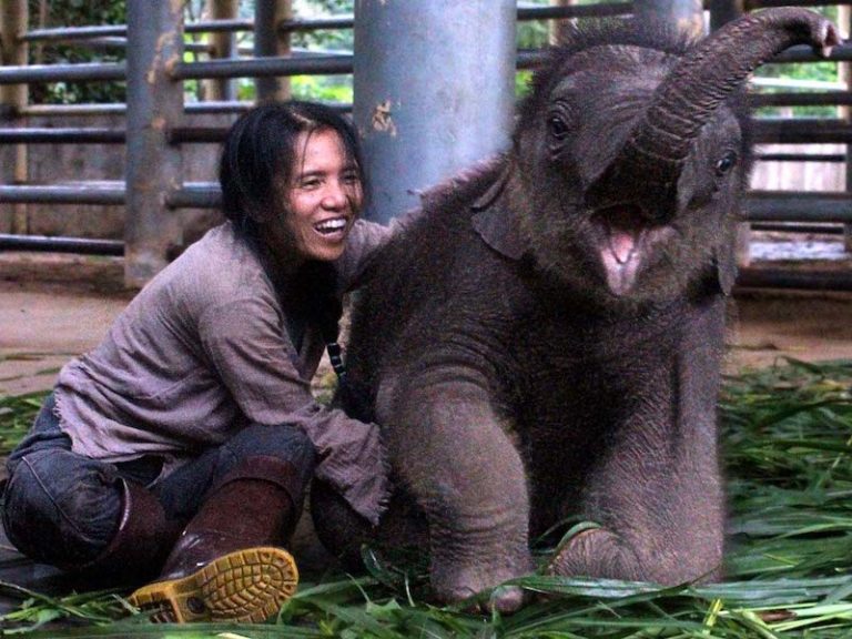 Lek Chailert lachend und sitzend neben Elefantenbaby