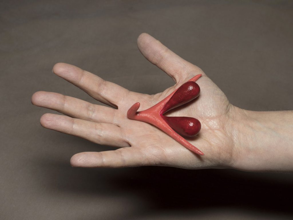 Ein Modell einer Klitoris liegt auf einer offenen Handfläche von Odile Fillod