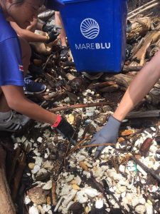 mehrere Hände sammeln Müll am Strand von Costa Rica