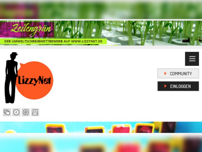 Bildschirmfoto vom Portal lizzynet