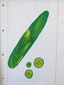 Zu sehen ist eine Zeichnung von einer grünen Gurke