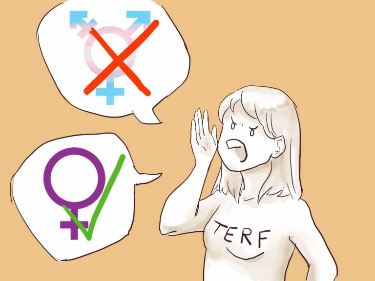 Frau benannt als TERF mit zwei Sprechblasen: einerseits Emoji für Frauen mit einem grünen Haken und andererseits Emoji für trans Menschen mit einem roten Kreuz