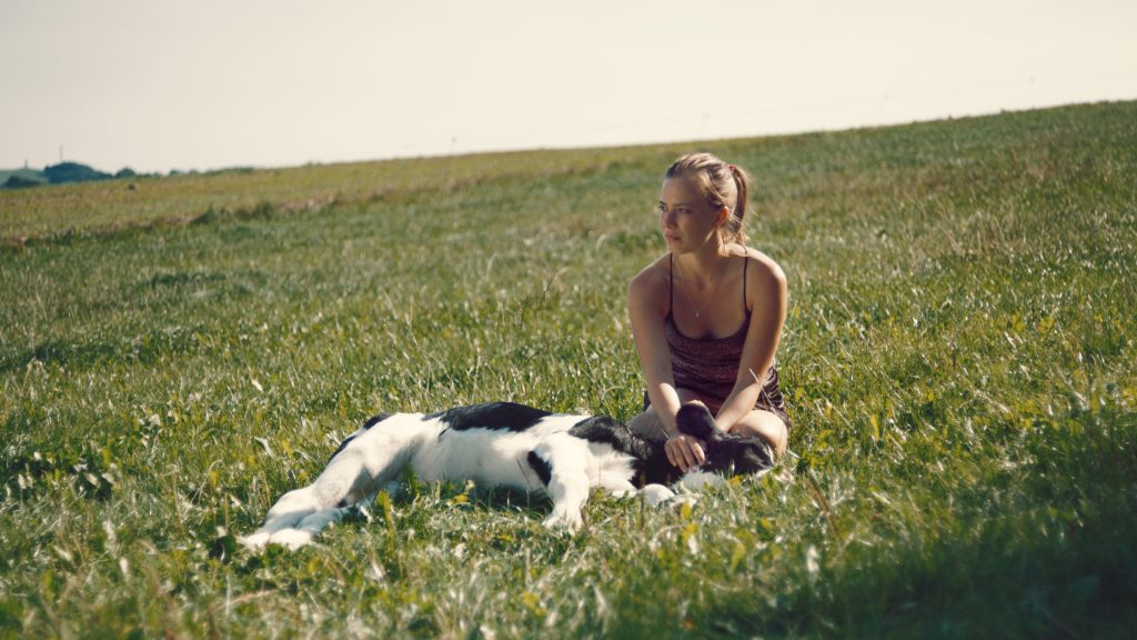 Christin (Saskia Rosendahl) sitzt auf einem Feld, die Sonne scheint, der Kopf eines Kalbes liegt vor ihren Beinen, sie hat beide Hände an ihm. Das Kalb ist tot, Christin schaut in die Ferne