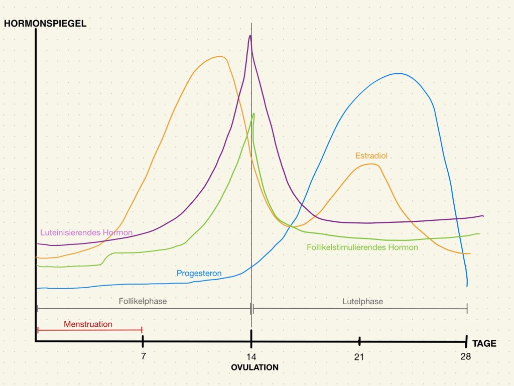 Grafik mit der Entwicklung des Hormonspiegels während eines Menstruationszyklusmonats