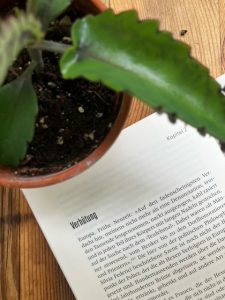 Das Bild zeigt das Buch von innen sowie die Überschrift des zweiten Kapitels und eine Pflanze