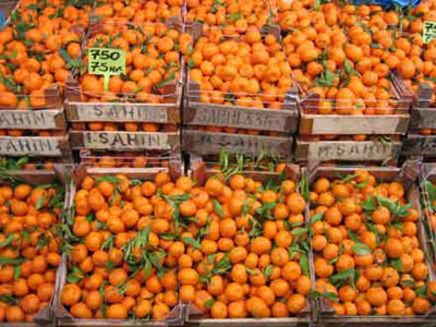 Orangen in Kisten Markt